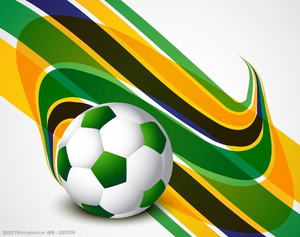 组织枢纽 组织枢纽