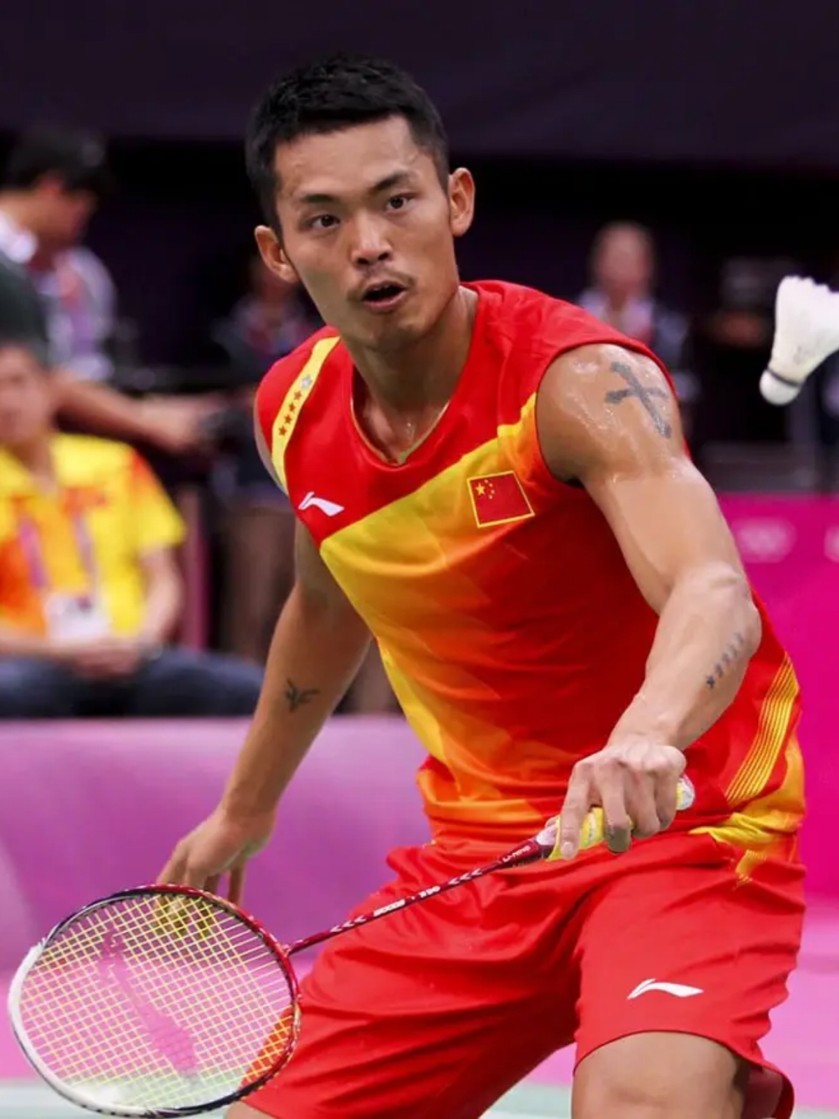 成败分野的 成败分野的