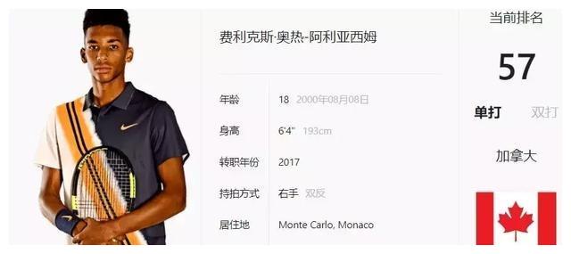 反诈解析的